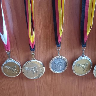 Lote Medallas Vintage