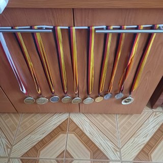 Lote Medallas Vintage