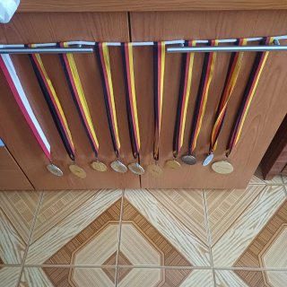 Lote Medallas Vintage