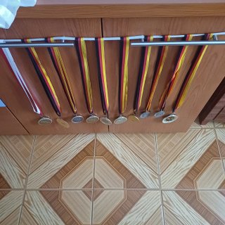 Lote Medallas Vintage