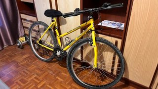 Bicicleta de Montaña Globe Trotter Amarilla