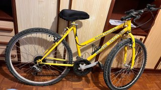 Bicicleta de Montaña Globe Trotter Amarilla