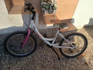 Bicicleta niña 20 6-10 años