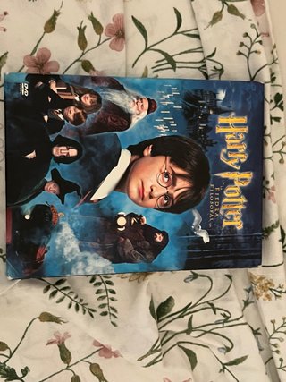 DVD Harry Potter y la Piedra Filosofal (Español)