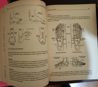 Manual de Reflexología, método Holístico
