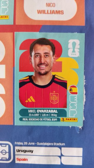 Álbum Panini Mundial 75% Completo