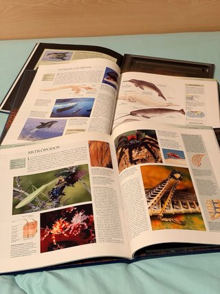 Enciclopedia de los animales National Geographic