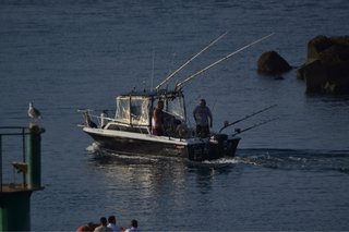 Barco pesca deportiva americano