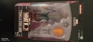 Marvel Legends T'Challa Star-Lord What If...?