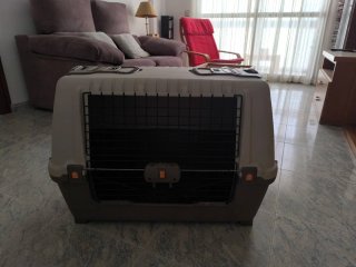 Transportín grande para perros