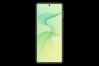 Samsung Galaxy Z Flip8 256GB Menta SM-F776BLGGEUB