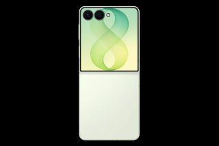 Samsung Galaxy Z Flip8 256GB Menta SM-F776BLGGEUB