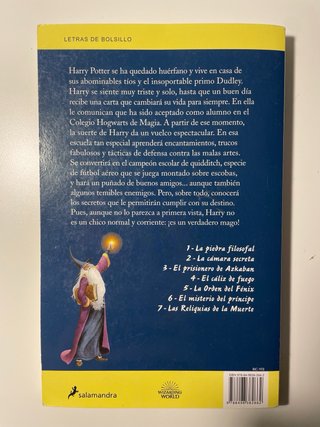 Libro Harry Potter y la piedra filosofal (20 años)