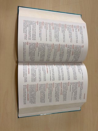 Diccionario Xerais de Primaria