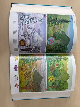 Diccionario Xerais de Primaria