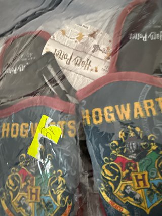 Zapatillas Casa Hogwarts Harry Potter Talla 40-41