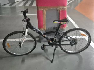 Bicicleta