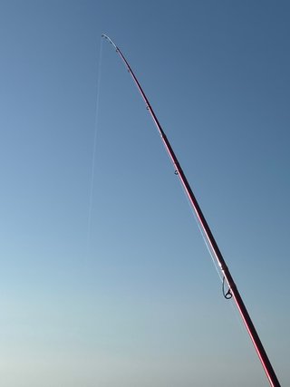 Caña de pescar ZunZun Red Devil 420