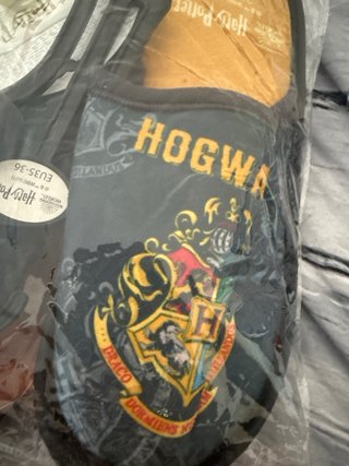 Zapatillas Oficiales Harry Potter Hogwarts
