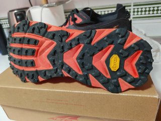 Altra Mont Blanc