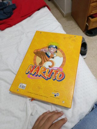 Carpeta Naruto