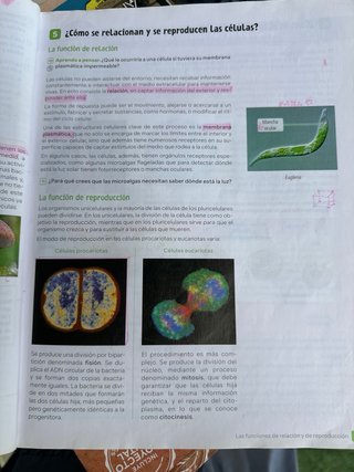 Biología4 eso Revuela