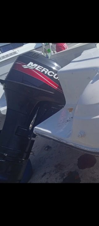 Motor fueraborda Mercury
