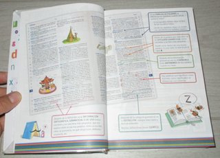 DICCIONARIO BÁSICO DE LA LENGUA ESPAÑOLA PRIMARIA