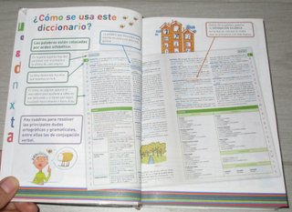 DICCIONARIO BÁSICO DE LA LENGUA ESPAÑOLA PRIMARIA