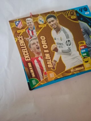 (+140) Cromos ADRENALYN XL 24-25