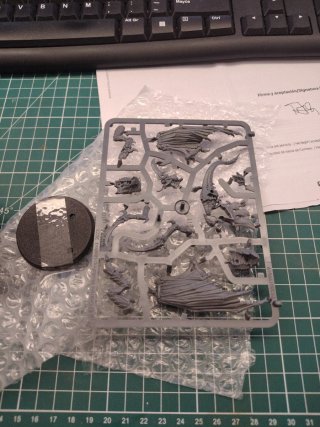 Tiranido Primus Alado Warhammer 40k