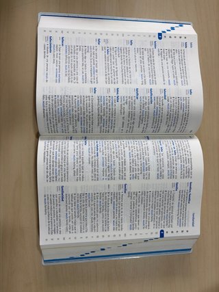 Diccionario Primaria Lengua española
