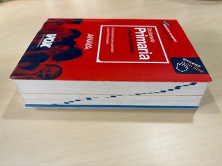 Diccionario Primaria Lengua española