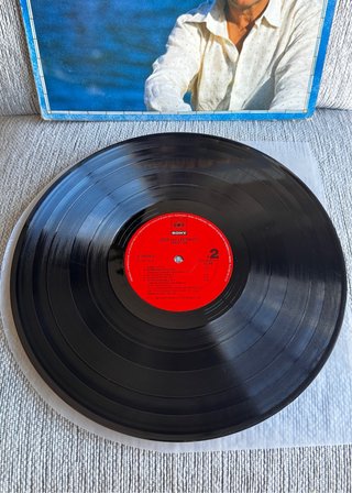 José Luis Perales - América (Vinilo)