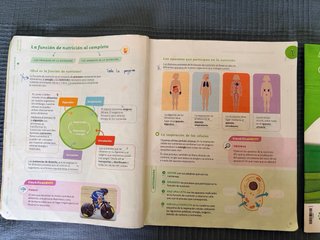 Libro ciencias naturaleza. 6*. ISBN 9788414407660