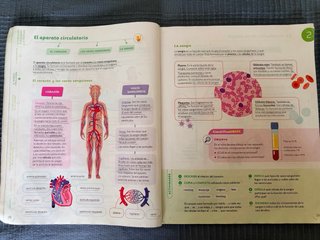 Libro ciencias naturaleza. 6*. ISBN 9788414407660