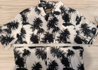 Camisa BETTINGS palmeras blanco y negro