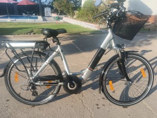 Bicicleta Eléctrica Neomouv Plata