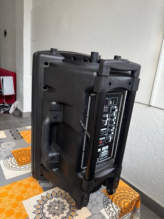 Altavoz Dynasonic Dynapro Negro