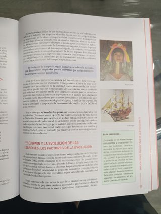 Libro Filosofia 1 BACH Boreal Libros Atenea