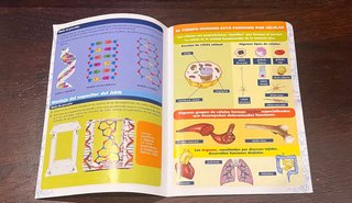 Juego Clementoni El Cuerpo Humano 9+