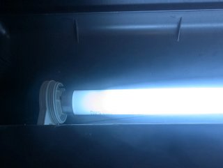 Exo Terra Repti Glo 5.0 Tubo