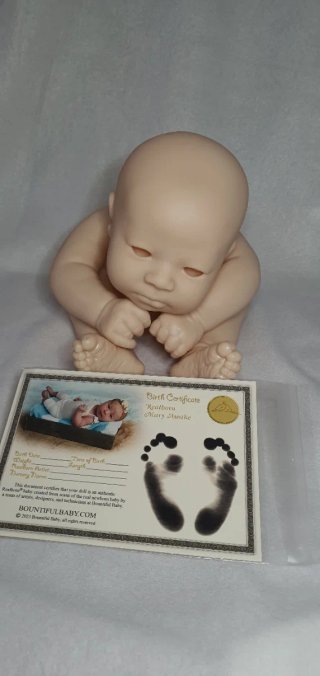 Kit Reborn Mary Awake Bountiful Baby
