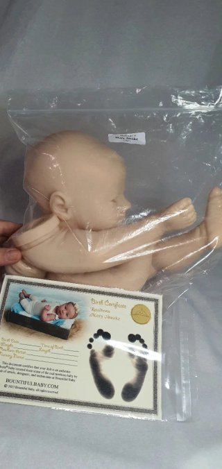 Kit Reborn Mary Awake Bountiful Baby