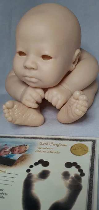 Kit Reborn Mary Awake Bountiful Baby
