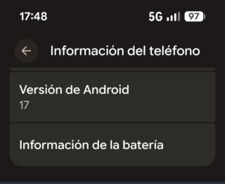 Google Pixel 10 Pro 256GB Gris