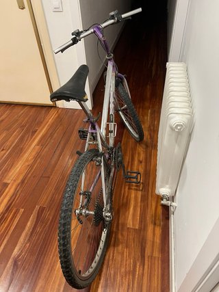 Bicicleta de morada y plateada