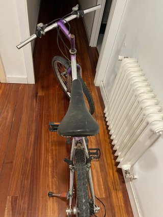 Bicicleta de morada y plateada
