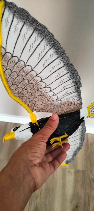 Halcón para ahuyentar pájaros