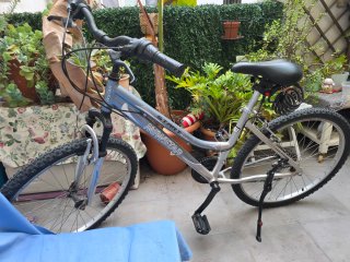 Bicicleta NEWSTAR gris